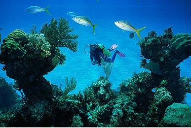 传《仙剑》单机小组被解散 《仙剑7》成绝响